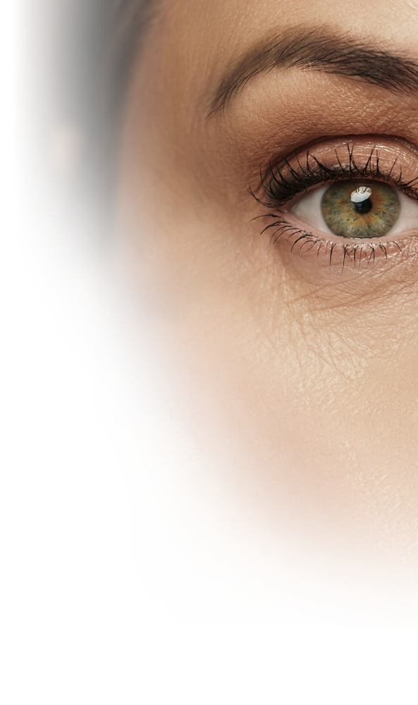 Oeil presbytie lentille